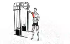 单臂高位至低位拉力器飞鸟(One-Arm High-to-Low Cable Fly)正确姿势 单臂高位至低位拉力器飞鸟
