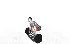 缺口硬拉(Deficit Deadlift)正确姿势 缺口硬拉