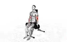 哑铃坐姿交替锤式弯举（Dumbbell Seated Alternate Hammer Curl）正确姿势