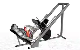 窄距45度腿举(Narrow Stance 45 Degree Leg Press)正确姿势 窄距45度腿举