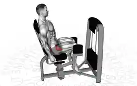 坐姿髋外展（Seated Hip Abduction）正确姿势