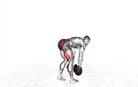 B姿势罗马尼亚硬拉（B Stance Romanian Deadlift）正确姿势