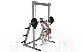 史密斯机早安式(Smith Machine Good Morning)正确姿势 史密斯机早安式