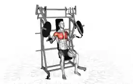上斜锤式胸部推举(Incline Hammer Chest Press)正确姿势 上斜锤式胸部推举