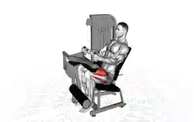 坐姿腿屈伸(Seated Leg Extension Machine)正确姿势 坐姿腿屈伸
