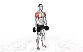 哑铃侧举(Dumbbell Lateral Raise)正确姿势 哑铃侧举