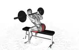 坐姿早安式（Seated Good Morning）正确姿势