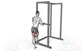 侧腿摆动（Side Leg Swings）正确姿势