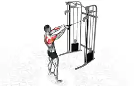 面拉（Cable Face Pull）正确姿势