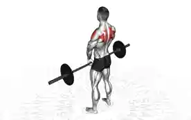 杠铃窄握立划船(Barbell Narrow Grip Upright Row)正确姿势 杠铃窄握立划船