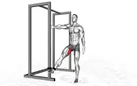 阻力带髋内收(Resistance Band Hip Adduction)正确姿势 阻力带髋内收