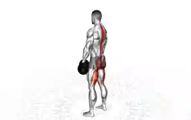 哑铃罗马尼亚硬拉(Dumbbell Romanian Deadlift)正确姿势 哑铃罗马尼亚硬拉