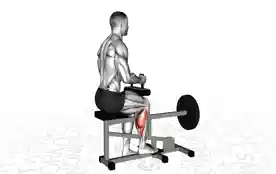 单腿坐姿小腿肌训练机提踵(Single Leg Seated Calf Machine Raise)正确姿势 单腿坐姿小腿肌训练机提踵