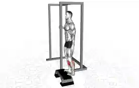 站立提踵(Standing Calf Raise)正确姿势 站立提踵