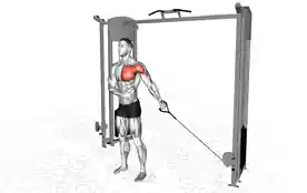 单臂低位至高位拉索飞鸟(One-Arm Low-to-High Cable Fly)正确姿势 单臂低位至高位拉索飞鸟