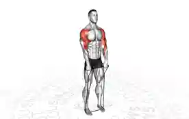 弹力带直立划船(Band Upright Row)正确姿势 弹力带直立划船