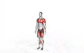 开合跳（Jumping Jacks）正确姿势