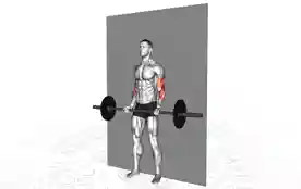 杠铃靠墙弯举（Barbell Wall Curl）正确姿势