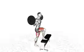 杠铃台阶上步(Barbell Step-up)正确姿势 杠铃台阶上步