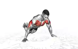 跪姿宽距俯卧撑(Kneeling Wide Push-Up)正确姿势 跪姿宽距俯卧撑