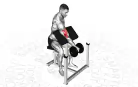 单臂哑铃牧师凳弯举（One-Arm Dumbbell Preacher Curl）正确姿势