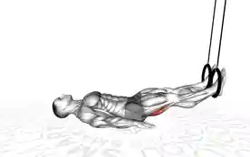 吊环腿弯曲（Ring Leg Curl）正确姿势