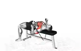 弹力带卧推(Band Bench Chest Press)正确姿势 弹力带卧推