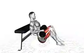 哑铃臀桥（Dumbbell Hip Thrust）正确姿势
