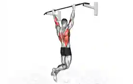 宽握背部引体向上(Wide Grip Rear Pull-Up)正确姿势 宽握背部引体向上