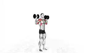 站姿哑铃肩推（Standing Dumbbell Shoulder Press）正确姿势