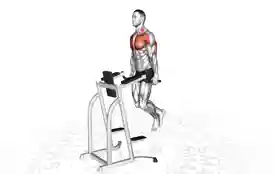 胸部下沉式俯卧撑(Chest Dips)正确姿势 胸部下沉式俯卧撑
