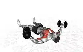 哑铃地板胸部飞鸟(Dumbbell Floor Chest Fly)正确姿势 哑铃地板胸部飞鸟