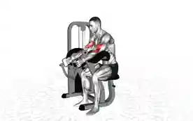 牧师锤式弯举（Preacher Hammer Curl）正确姿势