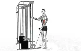 单臂锤式绳索弯举(One-Arm Hammer Cable Curl)正确姿势 单臂锤式绳索弯举