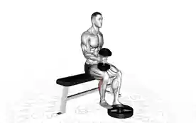 单腿坐姿哑铃提踵(Single-Leg Seated Calf Raise with Dumbbell)正确姿势 单腿坐姿哑铃提踵
