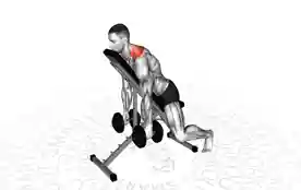 哑铃凯尔索耸肩(Dumbbell Kelso Shrugs)正确姿势 哑铃凯尔索耸肩