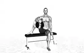 坐姿肩外旋(Seated Shoulder External Rotation)正确姿势 坐姿肩外旋
