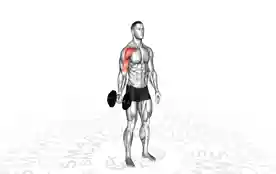单臂低位飞鸟哑铃（One-Arm Low Fly Dumbbell）正确姿势