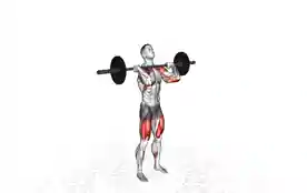 杠铃推举深蹲（Barbell Thruster）正确姿势