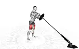 地雷深蹲(Landmine Squat)正确姿势 地雷深蹲