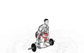 六角杠铃硬拉(Trap Bar Deadlift)正确姿势 六角杠铃硬拉