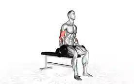 坐姿哑铃弯举(Seated Dumbbell Curl)正确姿势 坐姿哑铃弯举