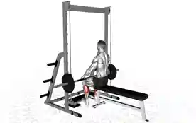 史密斯机坐姿提踵(Smith Seated Calf Raise)正确姿势 史密斯机坐姿提踵