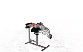 半程臀腿屈伸(Glute-Ham Raise 1/2)正确姿势 半程臀腿屈伸
