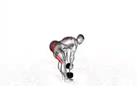 哑铃直腿硬拉(Dumbbell Straight Leg Deadlift)正确姿势 哑铃直腿硬拉