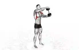 哑铃站立驱动器(Dumbbell Standing Driver)正确姿势 哑铃站立驱动器