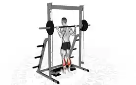 史密斯机小腿提踵(Smith Calf Raises)正确姿势 史密斯机小腿提踵