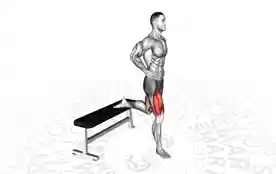 保加利亚深蹲（Bulgarian Squat）正确姿势