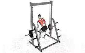 史密斯器械俯身划船(Smith Bent Over Row)正确姿势 史密斯器械俯身划船