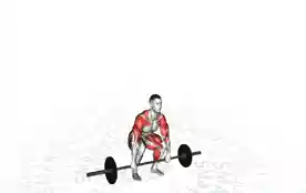 挺举